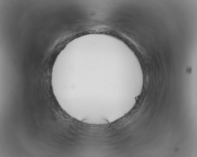 X0000116851447201002021035