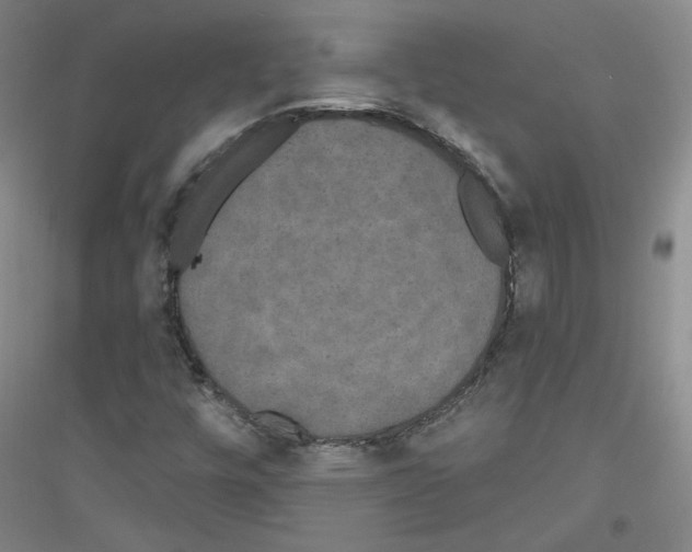 X0000116851448201002021035