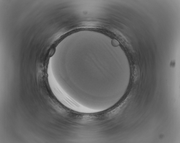 X0000116851449201002021035