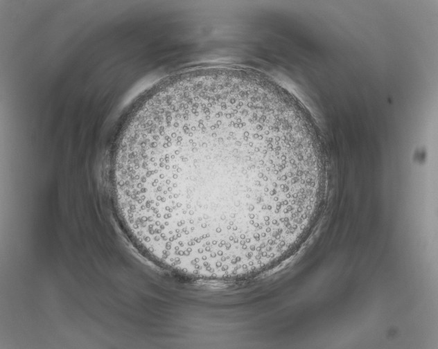 X0000116851450201002021035