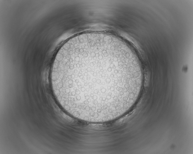 X0000116851451201002021035
