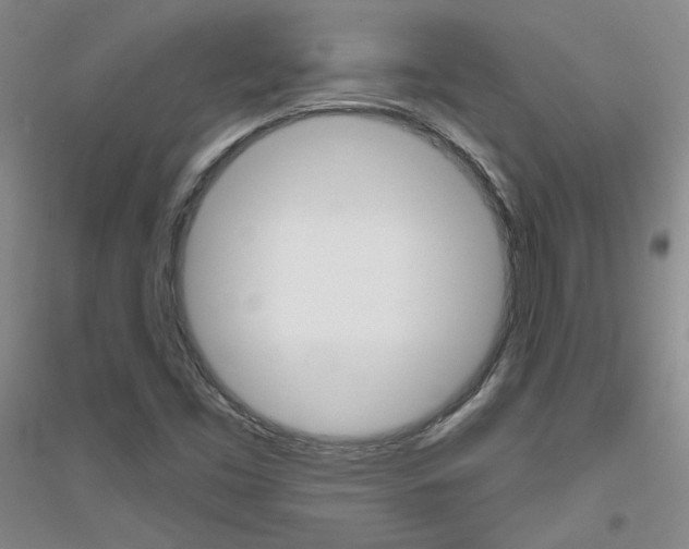 X0000116851453201002021035