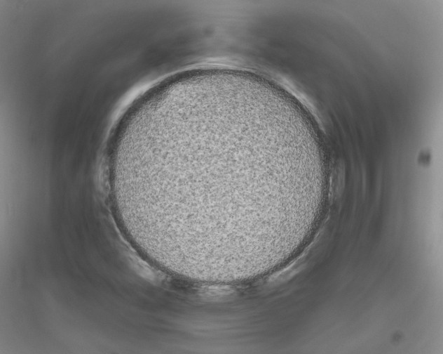X0000116851454201002021035