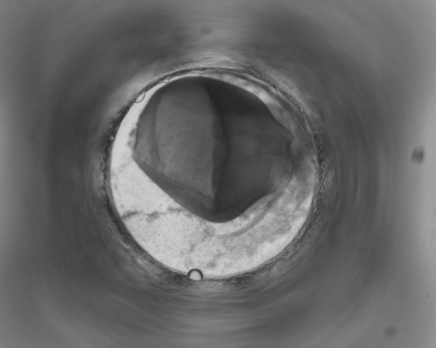 X0000116851455201002021035