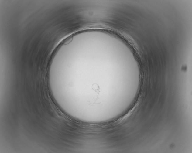 X0000116851457201002021035