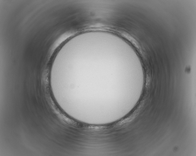 X0000116851458201002021035