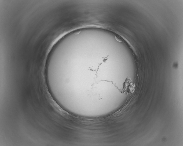 X0000116851460201002021035