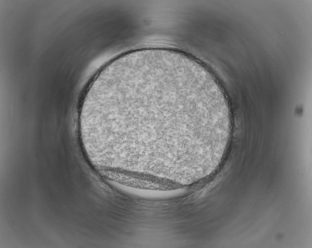 X0000116851461201002021035