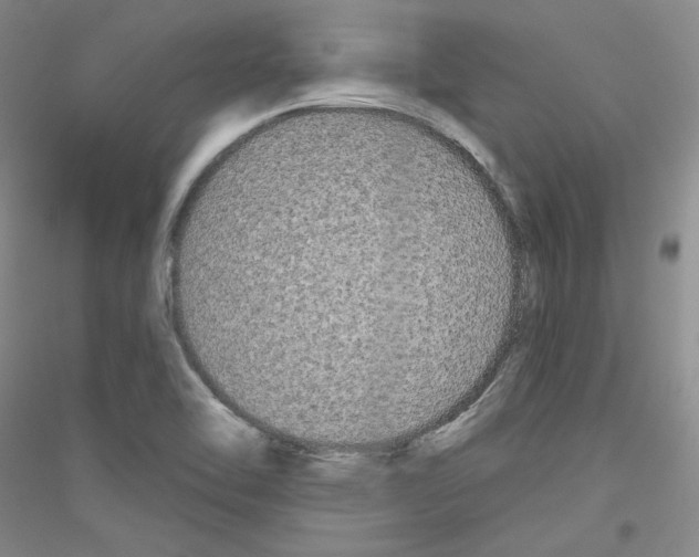 X0000116851462201002021035