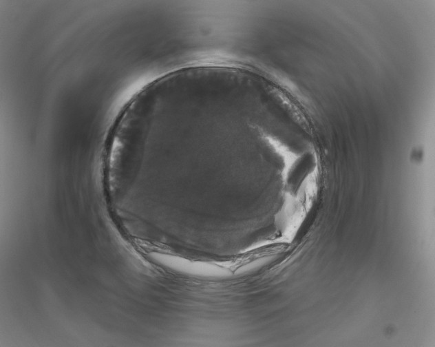 X0000116851463201002021035