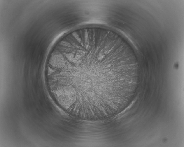 X0000116851469201002021035