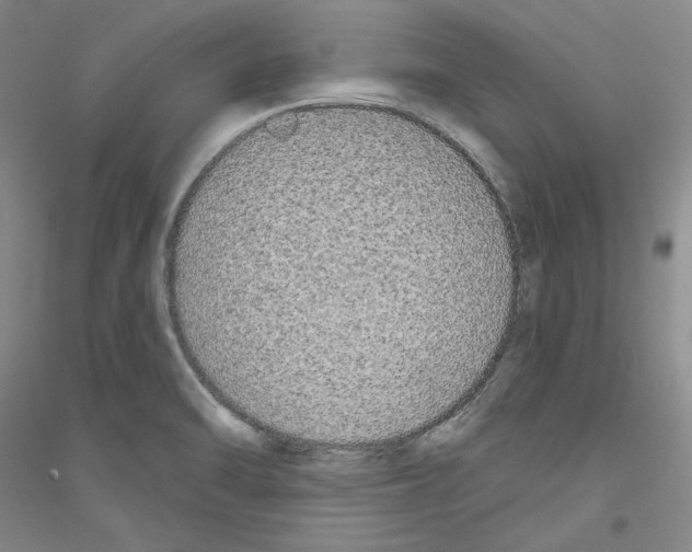 X0000116851470201002021035