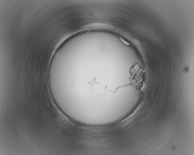 X0000116851473201002021035