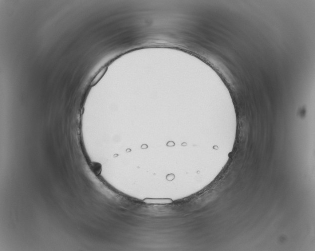 X0000116851476201002021035