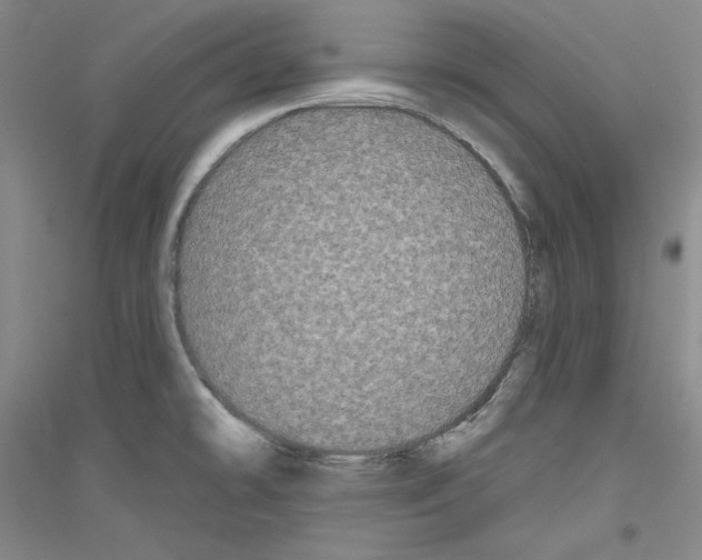 X0000116851478201002021035