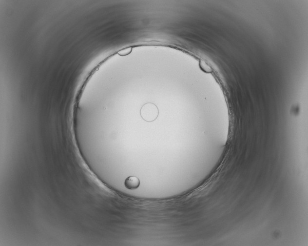 X0000116851480201002021035