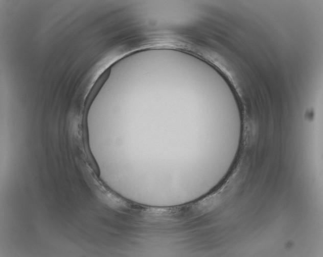X0000116851481201002021035