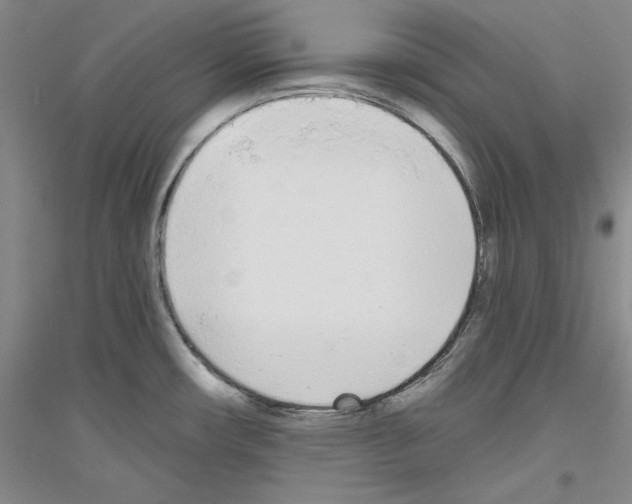 X0000116851482201002021035