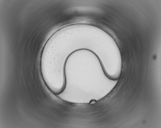 X0000116851483201002021035