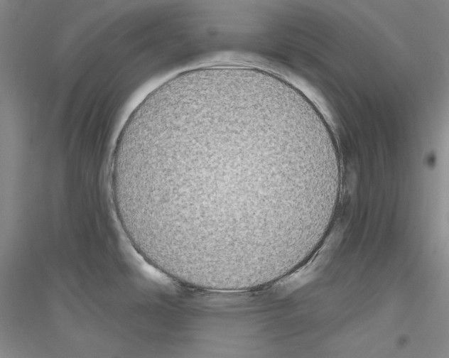 X0000116851486201002021035