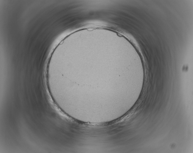 X0000116851488201002021035