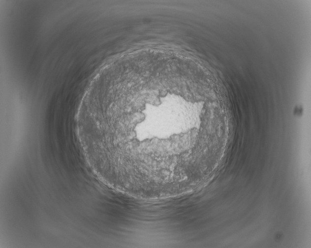 X0000116851489201002021034