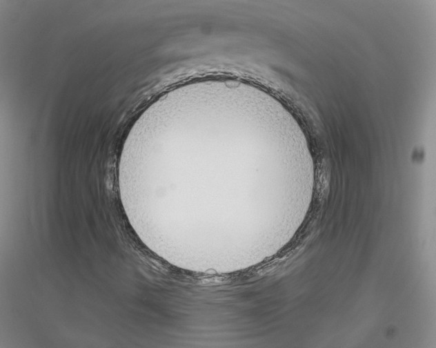 X0000116851490201002021034
