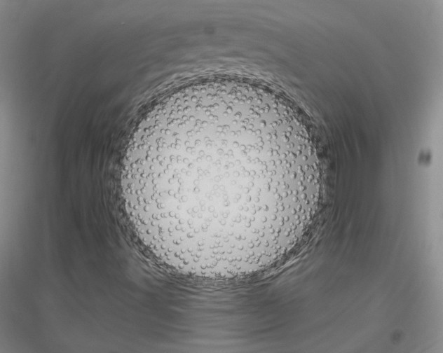 X0000116851491201002021034