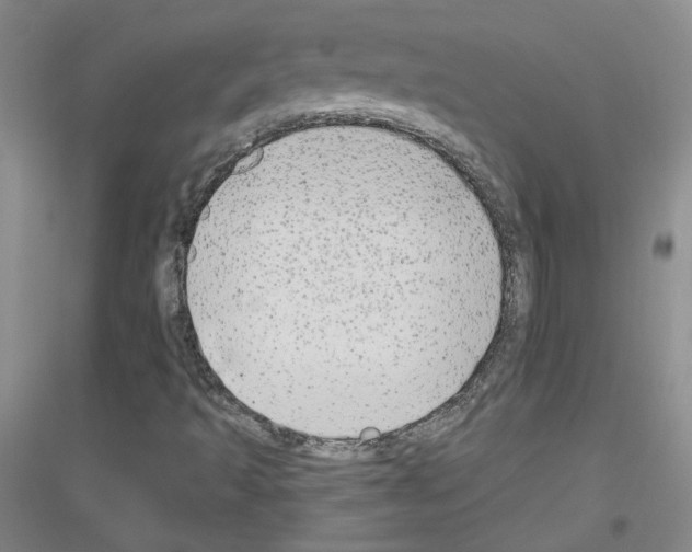 X0000116851493201002021034