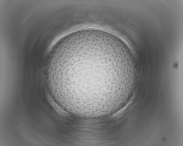 X0000116851499201002021034
