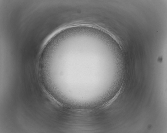 X0000116851502201002021034