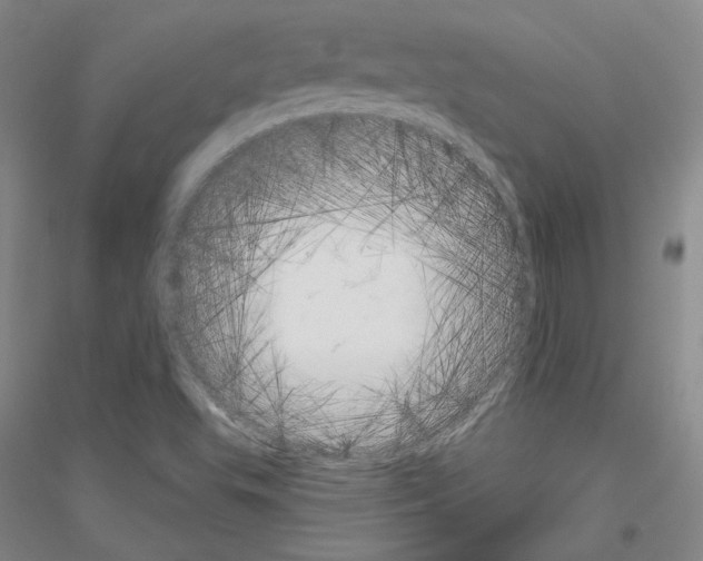 X0000116851503201002021034