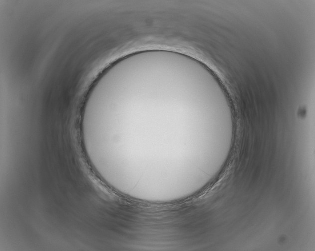 X0000116851507201002021034
