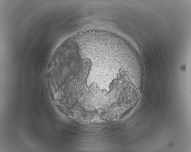 X0000116851513201002021034