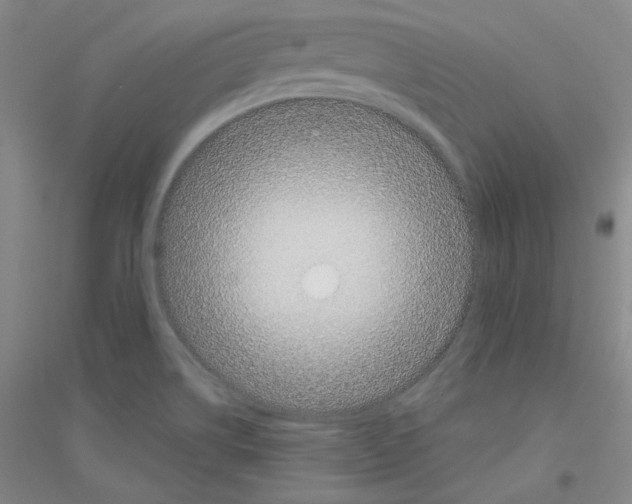 X0000116851514201002021034