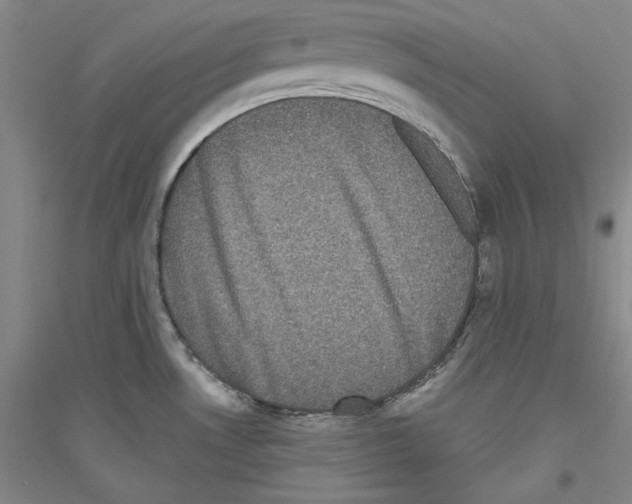 X0000116851530201002021034