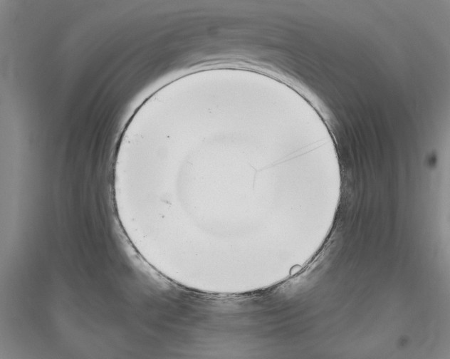 X0000116851534201002021035