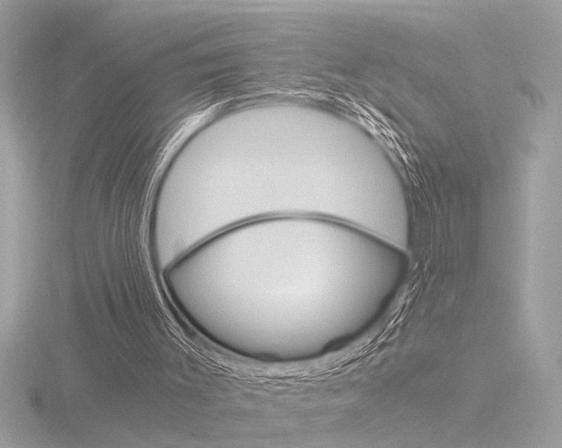 X0000116860003200912220951