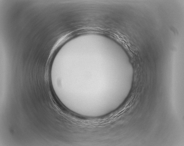 X0000116860004200912220951