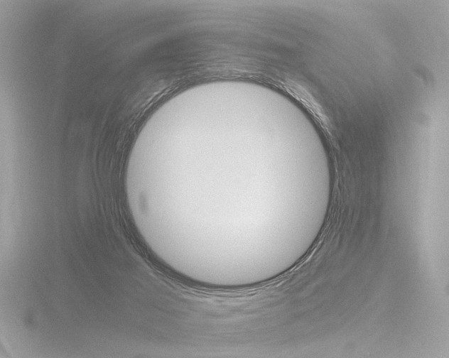 X0000116860021200912220951