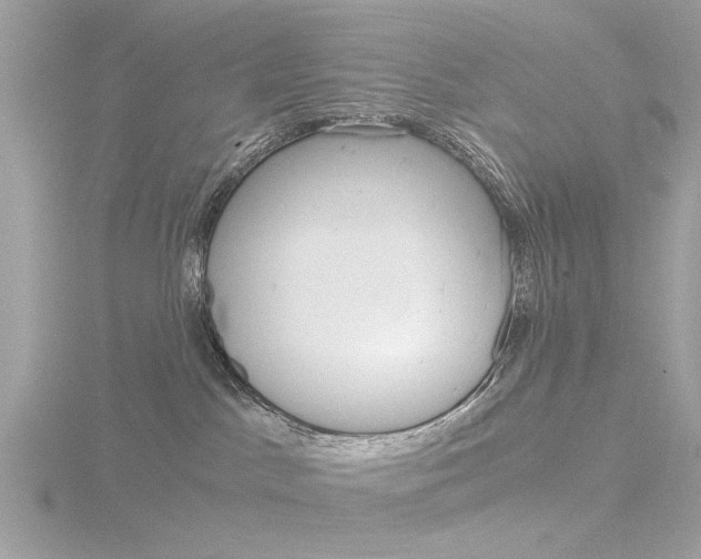 X0000116860045200912220951
