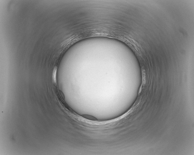 X0000116860047200912220951