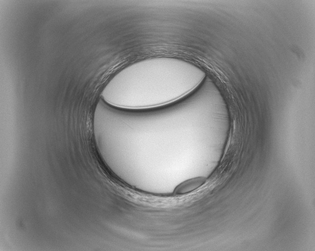 X0000116860048200912220951