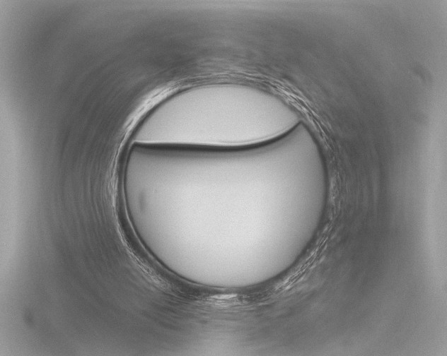 X0000116860054200912220950
