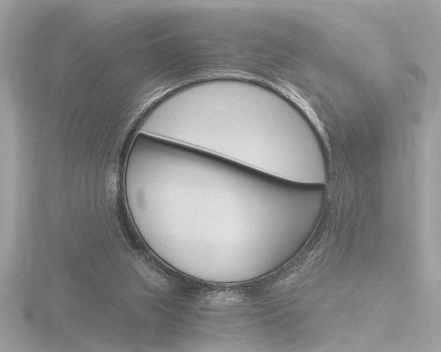 X0000116860063200912220950