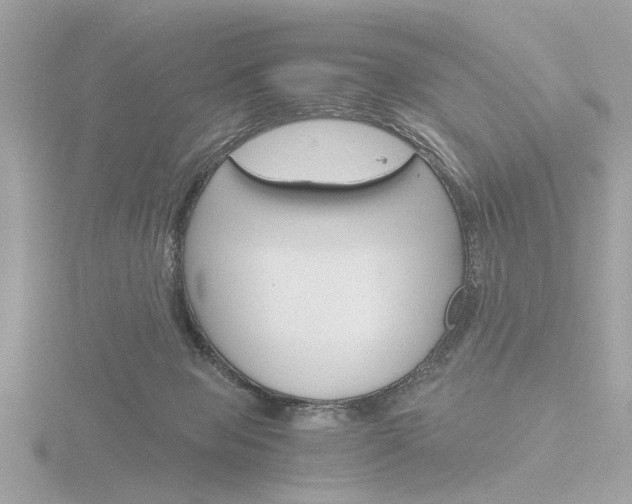 X0000116860077200912220950