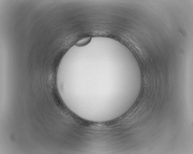 X0000116860079200912220950
