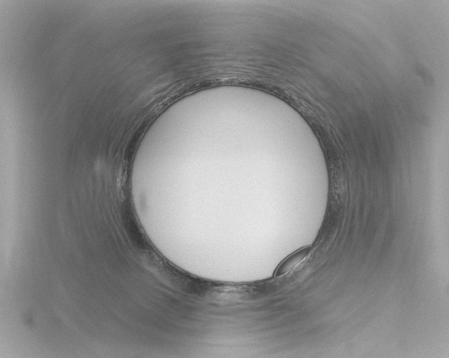 X0000116860082200912220950