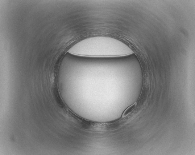 X0000116860084200912220950