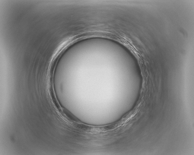X0000116860101200912220950